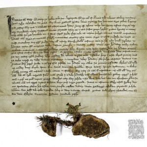 Dokumenty pergaminowe