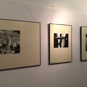 IMG_5284